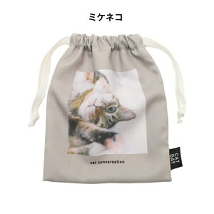 CATDAY В|[` RX|[`  L ˂ lR LbgfC ʐ^ tHg uV Rbv L OєL xK LD 킢   v[g Mtg 