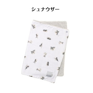 `[tvg3wayЂ| |` { uPbg  킢 fW^vg tl Ȃ߂炩 V[v{A  g H~ ΍ ViEU[ L ET