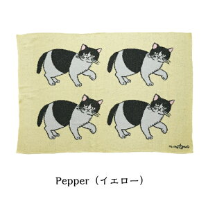 yX[p[SALE15%Itzy~Lz tFU[[uPbg Q ѕz Ђ| \tg G _炩 ӂӂ  h Q ۉ lq rO ItBX lR L ˂