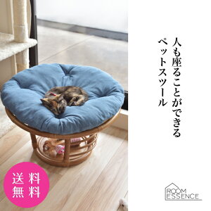 [J[ Xc[ ybgnEX ybgxbg   L ybg NbVt | wȂ  ֎q 킢 NbVt  J AZUMAYA ROOM ESSENCE PET-64