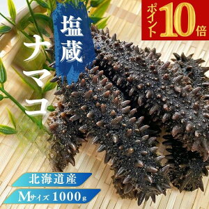 ySiP10{ XňlɒI BFzkCY i}RyAizMTCY 1000g Cl kCY i}R kCLR VR i}RȂ܂ ؍H q  i 