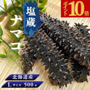 ySiP10{ XňlɒI BFzkCY i}RyAiz LTCY 500g Cl kCY i}R kCLR VR i}RȂ܂ ؍H q  i 