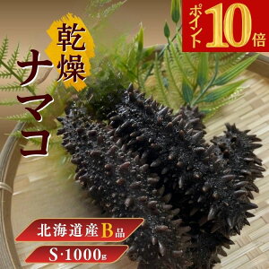 ySiP10{ XňlɒI BFzkCY i}RyBiz󂠂 STCY 1000g Cl kCY i}R kCLR VR i}R Ȃ܂ ؍H q  