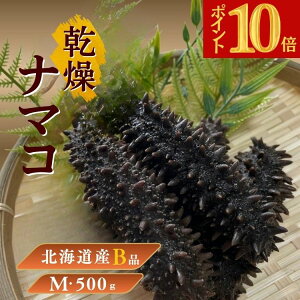 �y�y�V�労�Ӎ� P10�{�z�k�C���Y �����i�}�R�yB�i�z�󂠂� M�T�C�Y 500g �����C�l �k�C���Y �����i�}�R �k�C�L���R �V�R �i�}�R �����Ȃ܂� ���؍����H�� ����q �������� �������� �C�l �C�Q