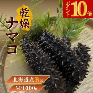 �y�y�V�労�Ӎ� P10�{�z�k�C���Y �����i�}�R�yB�i�z�󂠂� M�T�C�Y 1000g �����C�l �k�C���Y �����i�}�R �k�C�L���R �V�R �i�}�R �����Ȃ܂� ���؍����H�� ����q �������� �������� �C�l �C�Q