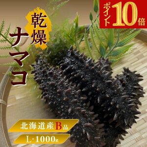 ySiP10{ XňlɒI BFzkCY i}RyBiz󂠂 LTCY 1000g Cl kCY i}R kCLR VR i}R Ȃ܂ ؍H q  