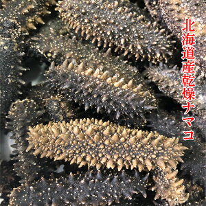 ナマコの通販 価格比較 価格 Com
