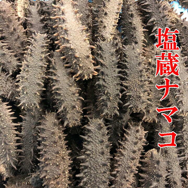 楽天市場】北海道産塩蔵ナマコ なまこ ナマコ 海鼠 塩蔵海参 天然海鼠 