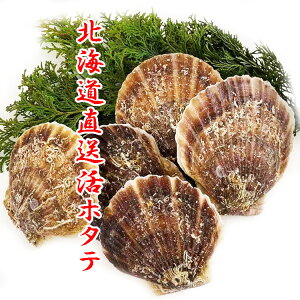 殻付き ほたて 食品の人気商品 通販 価格比較 価格 Com