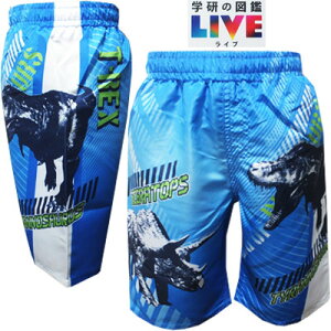 ylR|XOKz@v`vCX@w̐}LIVE@j̎q@vg@T[tpc@@u[@110cmA120cmA130cm@CAv[AjAwZ@qAqALbY