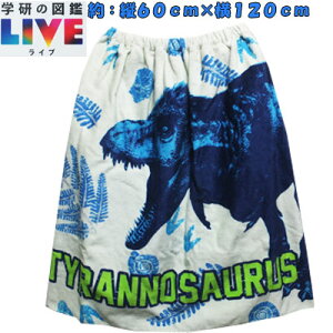 j̎q@w̐}Ӂ@vg@V[OH@Xibvt@^I@bv^I@@Fc60cm×120cm@@u[@@wZAv[Av[JAjAqAqA