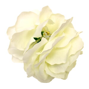 y[zRT[W  KN 傫 wANbv t_X  Ќ_X ANZT[ x[_X p[eB[ T52186 fB[X/K[Y oXNbv/a12cm zCg/C