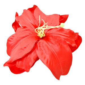 y[zt_Xߑ wANbv ANZT[ nC   RT[W  Xe[Wߑ tK[ ] tߑ T94261 fB[X/WjA [/^Nbv zC