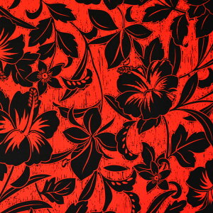 y[zyAEgbgnzn nC nCAn(113cmx1mJbg) z nCrXJX ԕ n nCAvgn pEXJ[gn n NbVJo[ J[e