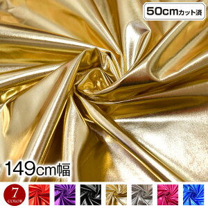 y[zW Xgb`^bNn (147cmx50cmJbg) ꐶn _Xߑ Xe[W ̑ ߑn RXvߑ    S[h Vo[ LE201142 [M 1/3]