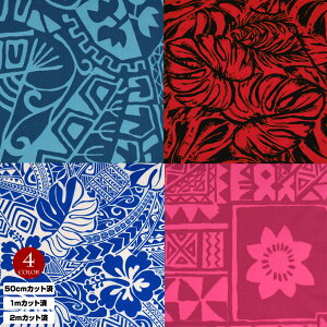 y[zn nC nCAn(n 113cm) V[`On z nCn n nCAvgn CeAn pEXJ[g NbVJo[ obO ȍ n/