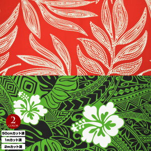 y[zn nC nCAn(n 113cm) V[`On z nCn n nCAvgn CeAn pEXJ[g NbVJo[ obO ȍ n/