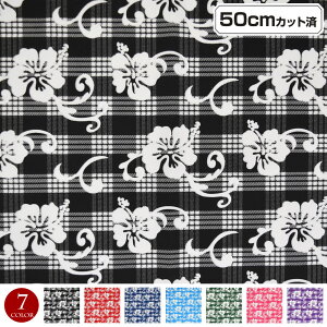 y[zn nC nCAn(113cmx50cmJbg) pJ V[`On z nCn nCAvgn nCrXJX CeAn NbVJo[ obO 