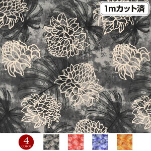 y[zn nC nCAn(113cmx1mJbg) Xe V[`On z nCn n nCAvgn CeAn pEXJ[g NbVJo[ 