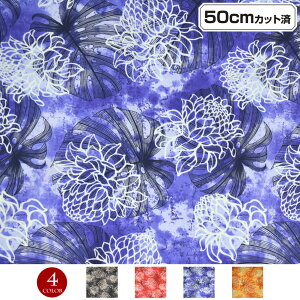 y[zn nC nCAn(113cmx50cmJbg) Xe V[`On z nCn n nCAvgn CeAn pEXJ[g NbVJo