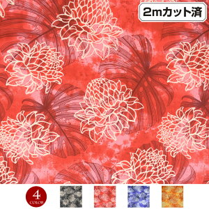 【即納】生地 ハワイ柄 ハワイアン柄生地(約113cm巾x2mカット済) モンステラ シーチング生地 布 ハワイ柄生地 柄生地 ハワイアンプリント生地 インテリア生地 パウスカート クッションカバー