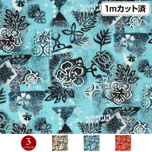 y[zn nC nCAn(113cmx1mJbg) nCrXJX zk V[`On z nCn n nCAvgn CeAn pEXJ[g NbV