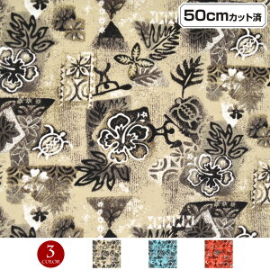 y[zn nC nCAn(113cmx50cmJbg) nCrXJX zk V[`On z nCn n nCAvgn CeAn pEXJ[g NbV