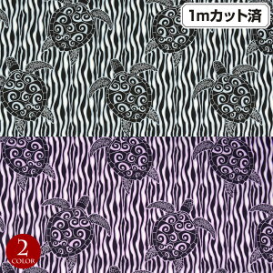 y[zn nC nCAn(113cmx1mJbg) zk T V[`On z nCn n nCAvgn CeAn pEXJ[g NbVJo[ o