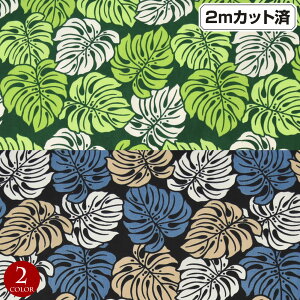 y[zn nC nCAn(113cmx2mJbg) Xe [t t V[`On z nCn n nCAvgn CeAn pEXJ[g NbV