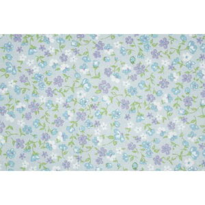 qpGv VB ̎qp LbYGv sN ƒ K  `y2܂Ń[։z