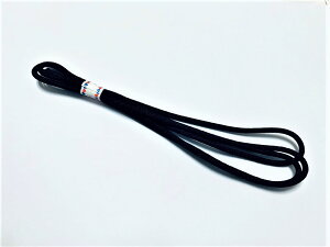 wAS@@{@1~A3~ʉEʊwpɂyyMt_z yyMt_̂z