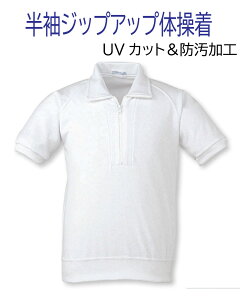 UVJbgꂪɂ̑ WbvAbv Vc  |Pbg { 120 130 140 150 S M LTCY@XN[@ctEwEwEZ@̑@N1860