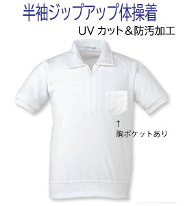 UVJbgꂪɂ̑ WbvAbv Vc |Pbg  { 120 130 140 150 M LTCY |Pbg XN[ ctEwEwEZ ̑ N1870