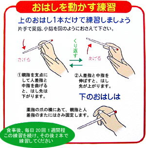 ポイント5倍DM便送料無料箸匠せいわ六角知能箸(無地)おはし日本製食洗機対応子供用国産お箸お箸トレーニング天然竹低学年高学年幼稚園保育園