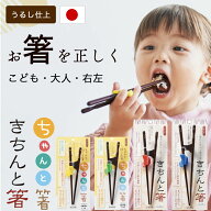 ちゃんと箸 きちんと箸 こども 大人 練習 トレーニング 持ちやすい 箸 正規品 日本製