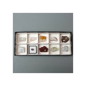 東京サイエンス 蛍光鉱物標本10種 長波 (L.W)