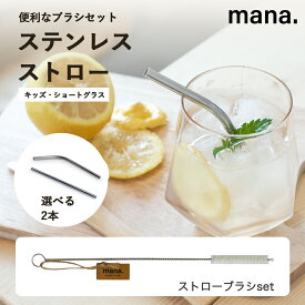 ステンレスストロー キッズ お試しセット 子供用 2本 洗浄ブラシセット mana. ストレート・曲がり 食洗機対応 エコ マイストロー FDA LFGB認証 18-8ステンレス サステナブル