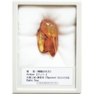  ͂ ogC h~jJa  W{ R ~L[Ao[ NA