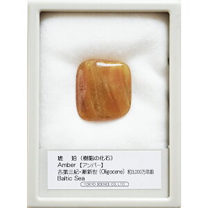  ͂ ogC h~jJa  W{ R ~L[Ao[ NA