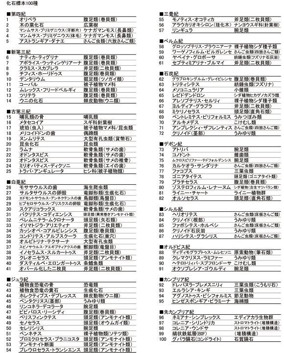 化石標本100種｜化石販売・鉱物販売の東京サイエンス