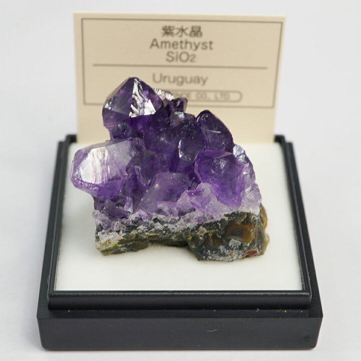 楽天市場】紫水晶 （ウルグアイ） 鉱物 標本 東京サイエンス ミニ鉱物 