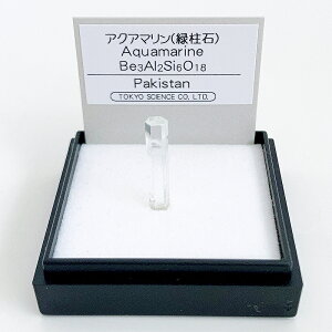 ANA}iΒ΁jipLX^j z W{ TCGX ~jzW{ P[X