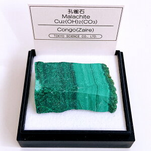 E  iRSj z W{ TCGX ~jzW{ P[X