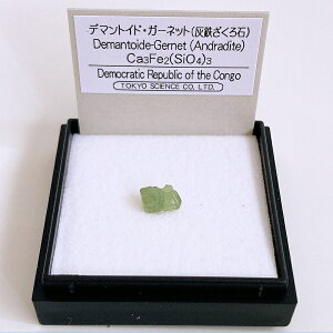 f}gChK[lbg iRSj W{ TCGX ~jzW{ P[X