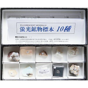 �����T�C�G���X �u���z���W�{10�� �Z�g (S.W)