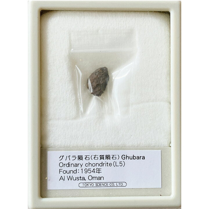 楽天市場】グバラ隕石 Found:1954年 東京サイエンス : キッズマーケット