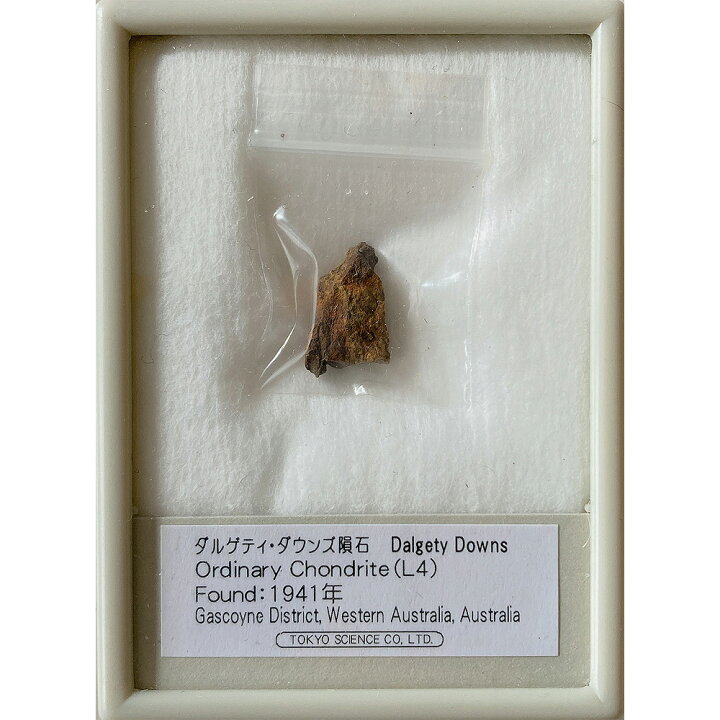 楽天市場】ダルゲティ・ダウンズ隕石 Found:1941年 東京サイエンス 