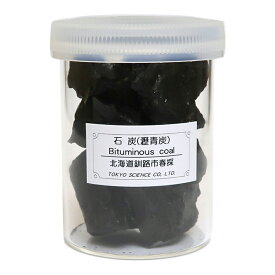 石炭（瀝青炭） 産地 北海道 Bituminous coal れきせいたん