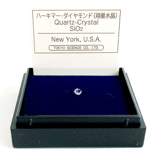 �n�[�L�}�[�E�_�C�A�����h�i���������j�i�A�����J�A�j���[���[�N�B�j �z�� �W�{ �����T�C�G���X �~�j�z���W�{ �P�[�X����