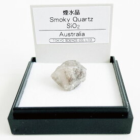【3日P2倍】煙水晶（オーストラリア） 鉱物 標本 東京サイエンス ミニ鉱物標本 ケース入り
